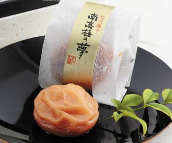紀州紅梅園 紀州梅干南高梅の夢 紀州南高梅専門店