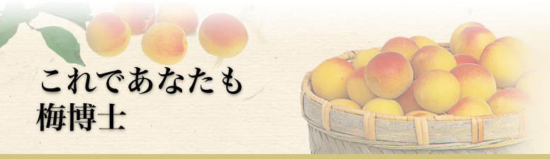 これであなたも梅博士!